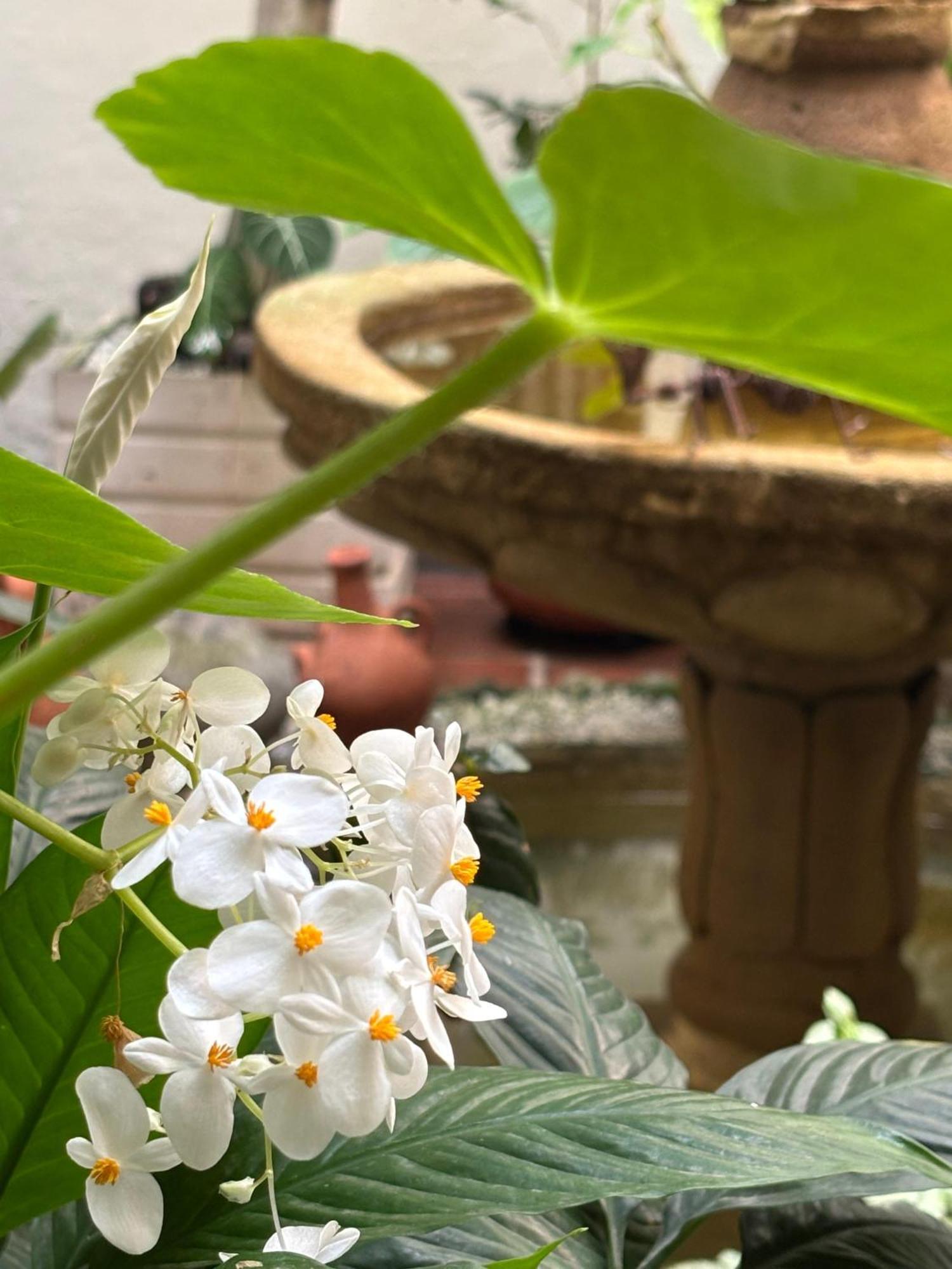 Terraza De San Antonio Hotel Cali Kültér fotó